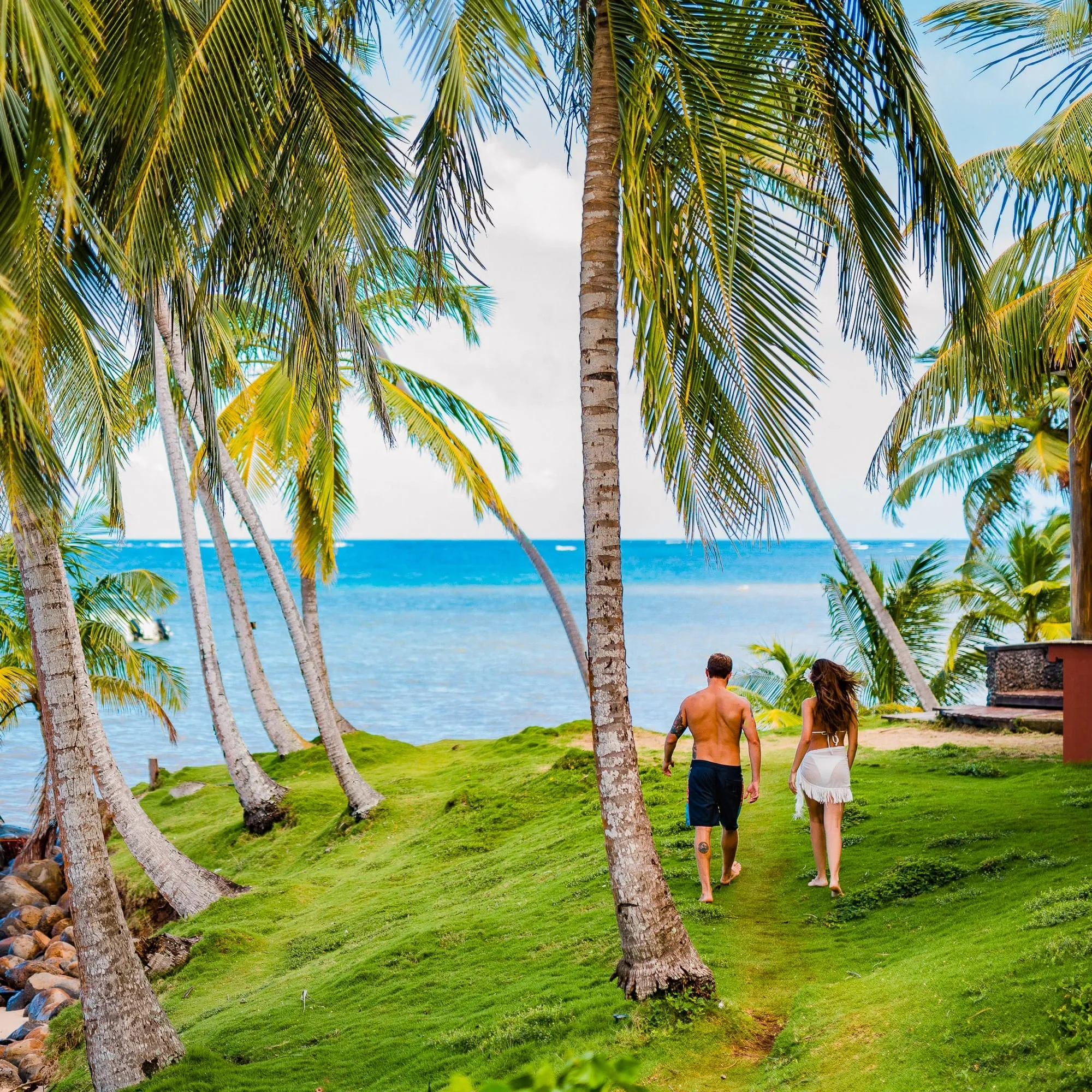 Yemaya Reefs - Imagen 2